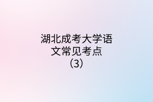 湖北成考大學(xué)語文常見考點(diǎn)（3）