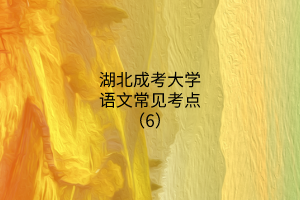 湖北成考大學(xué)語文常見考點(diǎn)（6）