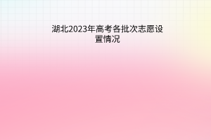 湖北2023年高考各批次志愿設置情況