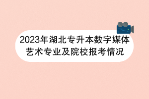 2023年湖北專升本數(shù)字媒體藝術(shù)專業(yè)及院校報考情況