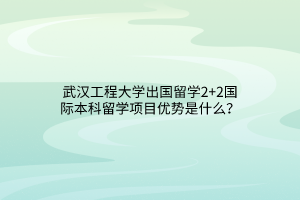 武漢工程大學(xué)出國(guó)留學(xué)2+2國(guó)際本科留學(xué)項(xiàng)目?jī)?yōu)勢(shì)是什么？