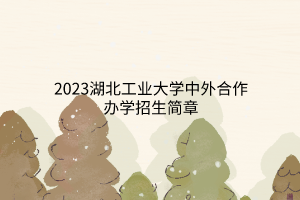 2023湖北工業(yè)大學(xué)中外合作辦學(xué)招生簡章