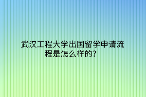 武漢工程大學(xué)出國留學(xué)申請流程是怎么樣的？