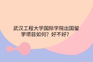 武漢工程大學國際學院出國留學項目如何？好不好？