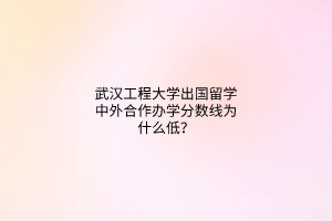 武漢工程大學(xué)出國留學(xué)中外合作辦學(xué)分?jǐn)?shù)線為什么低？