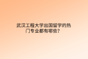 武漢工程大學(xué)出國留學(xué)的熱門專業(yè)都有哪些？