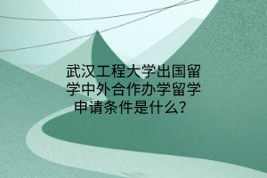 武漢工程大學出國留學中外合作辦學留學申請條件是什么？