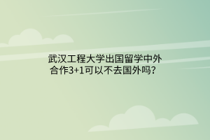 武漢工程大學出國留學中外合作3+1可以不去國外嗎？