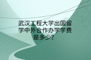 武漢工程大學(xué)出國留學(xué)中外合作辦學(xué)學(xué)費(fèi)是多少？