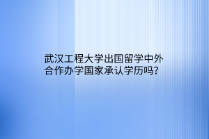 武漢工程大學(xué)出國留學(xué)中外合作辦學(xué)國家承認(rèn)學(xué)歷嗎？