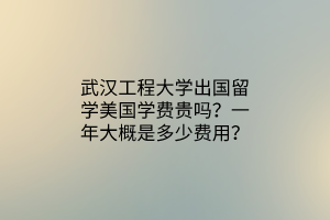 武漢工程大學(xué)出國留學(xué)美國學(xué)費(fèi)貴嗎？一年大概是多少費(fèi)用？