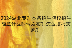 2024湖北專升本各招生院校招生簡(jiǎn)章什么時(shí)候發(fā)布？怎么填報(bào)志愿？(1)