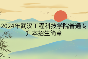 2024年武漢工程科技學(xué)院普通專(zhuān)升本招生簡(jiǎn)章