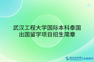 武漢工程大學國際本科泰國出國留學項目招生簡章