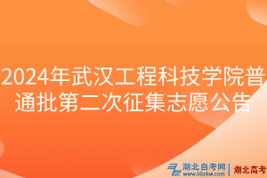 2024年武漢工程科技學(xué)院普通批第二次征集志愿公告