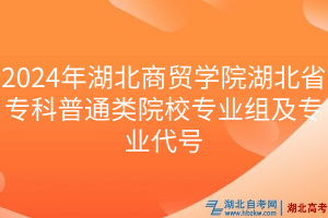 2024年湖北商貿(mào)學(xué)院湖北省?？破胀愒盒I(yè)組及專業(yè)代號