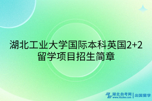 湖北工業(yè)大學(xué)國際本科英國2+2留學(xué)項(xiàng)目招生簡(jiǎn)章