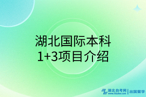 湖北國際本科1+3項目介紹