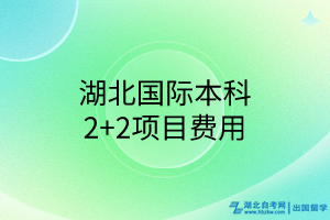 湖北國際本科2+2項目費用