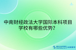 中南財(cái)經(jīng)政法大學(xué)國際本科項(xiàng)目學(xué)校有哪些優(yōu)勢？