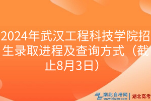 2024年武漢工程科技學(xué)院招生錄取進程及查詢方式（截止8月3日）