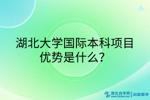 湖北大學(xué)國(guó)際本科項(xiàng)目?jī)?yōu)勢(shì)是什么？