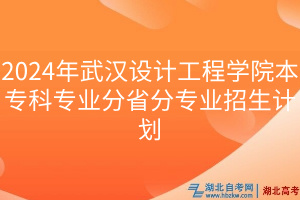 2024年武漢設計工程學院本專科專業(yè)分省分專業(yè)招生計劃