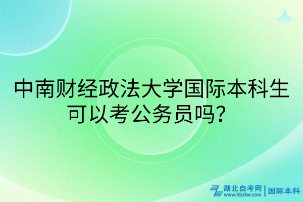 中南財經(jīng)政法大學國際本科生可以考公務員嗎？