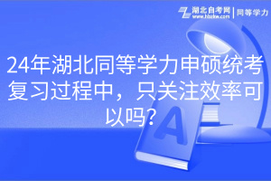 24年湖北同等學(xué)力申碩統(tǒng)考復(fù)習(xí)過(guò)程中，只關(guān)注效率可以嗎？