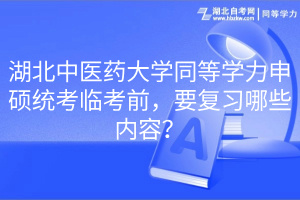 湖北中醫(yī)藥大學(xué)同等學(xué)力申碩統(tǒng)考臨考前，要復(fù)習(xí)哪些內(nèi)容？