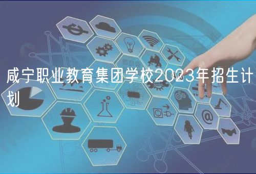 咸寧職業(yè)教育集團(tuán)學(xué)校2023年招生計(jì)劃