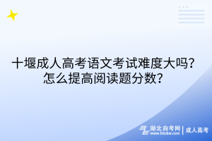 十堰成人高考語文考試難度大嗎？怎么提高閱讀題分?jǐn)?shù)？