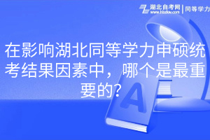 在影響湖北同等學(xué)力申碩統(tǒng)考結(jié)果因素中，哪個(gè)是最重要的？