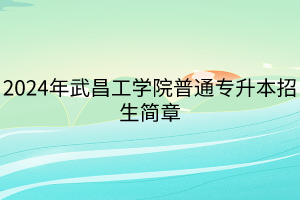 2024年武昌工學(xué)院普通專升本招生簡(jiǎn)章