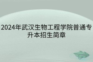 2024年武漢生物工程學(xué)院普通專升本招生簡(jiǎn)章