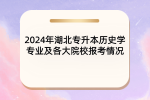 2024年湖北專升本歷史學(xué)專業(yè)及各大院校報考情況