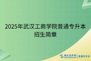 2025年武漢工商學(xué)院普通專升本招生簡章