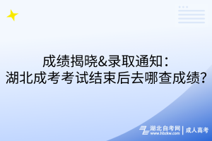 成績揭曉&錄取通知：湖北成考考試結(jié)束后去哪查成績？