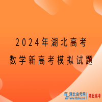 2024年湖北高考數(shù)學(xué)新高考模擬試題