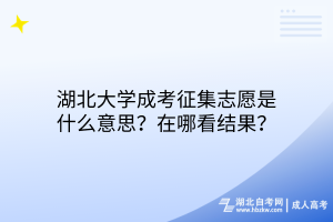 湖北大學(xué)成考征集志愿是什么意思？在哪看結(jié)果？