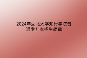 2024年湖北大學(xué)知行學(xué)院普通專升本招生簡章