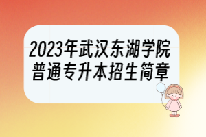 2023年武漢東湖學(xué)院普通專升本招生簡章