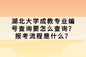 湖北大學成教專業(yè)編號查詢要怎么查詢？報考流程是什么？