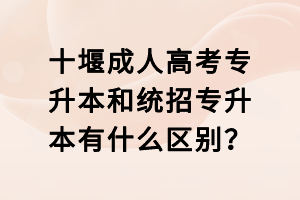 十堰成人高考專升本和統(tǒng)招專升本有什么區(qū)別？