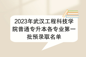 2023年武漢工程科技學(xué)院普通專升本各專業(yè)第一批預(yù)錄取名單