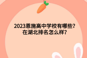 2023恩施高中學(xué)校有哪些？在湖北排名怎么樣？