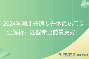 2024年湖北普通專升本最熱門專業(yè)解析：這些專業(yè)前景更好！