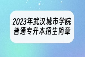 2023年武漢城市學(xué)院普通專升本招生簡(jiǎn)章