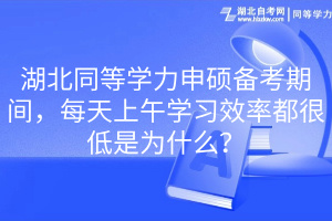 湖北同等學(xué)力申碩備考期間，每天上午學(xué)習(xí)效率都很低是為什么？