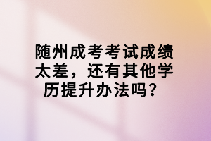 隨州成考考試成績太差，還有其他學(xué)歷提升辦法嗎？